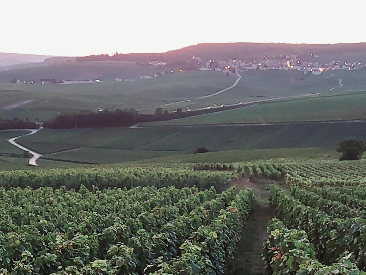 Epernay Capital De Champagne Apartment Luaran gambar