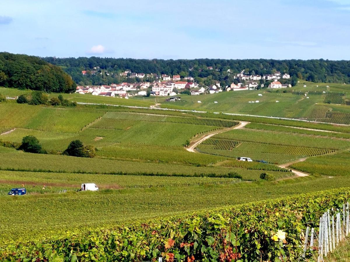 Epernay Capital De Champagne Apartment Luaran gambar