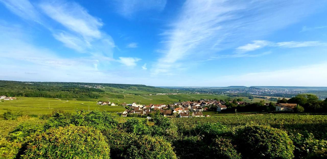Epernay Capital De Champagne Apartment Luaran gambar