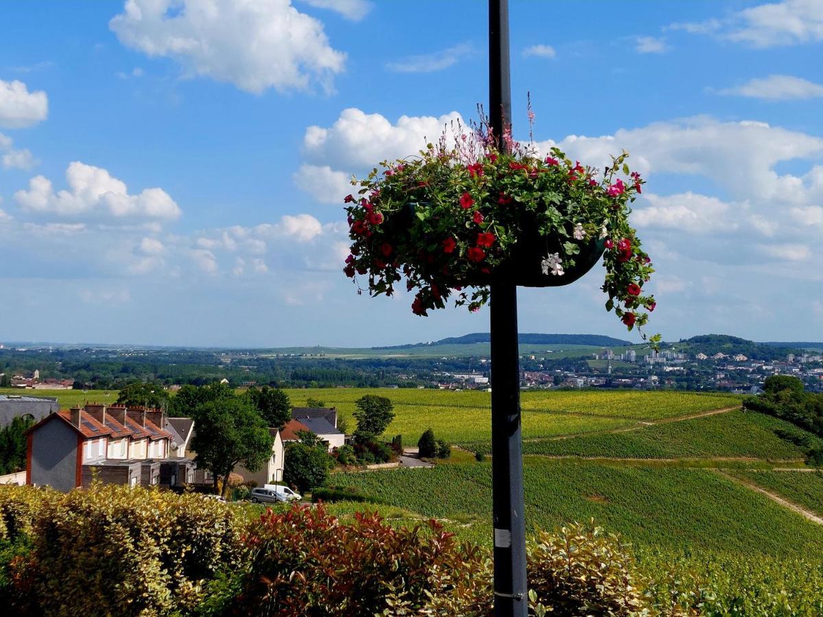 Epernay Capital De Champagne Apartment Luaran gambar
